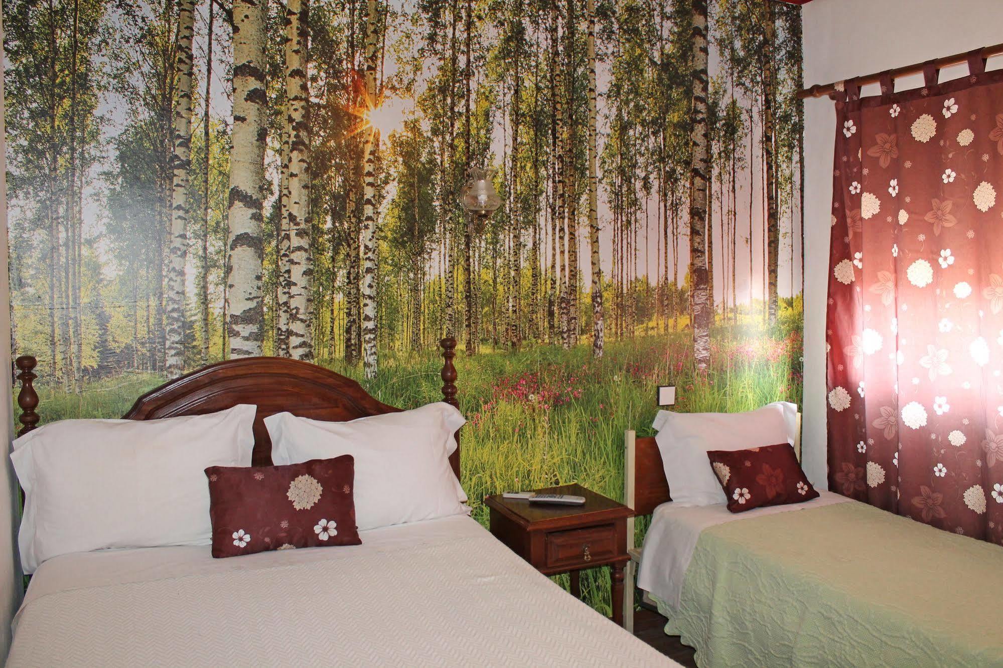 Franca Hotel ปอร์โต ภายนอก รูปภาพ